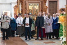 IMG_7026.jpg