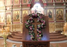 IMG_8810.jpg