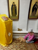 P1014209.jpg