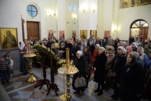 IVO_9176.JPG