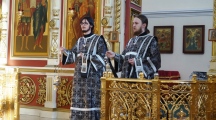 DSC07357.jpg