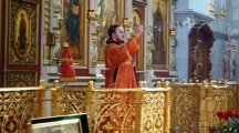 DSC08313.jpg
